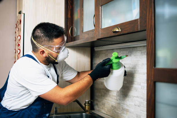 Best Mosquito Control Services  in Jal, NM