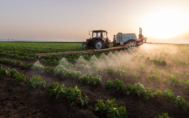 Best Pest Removal Services  in Jal, NM