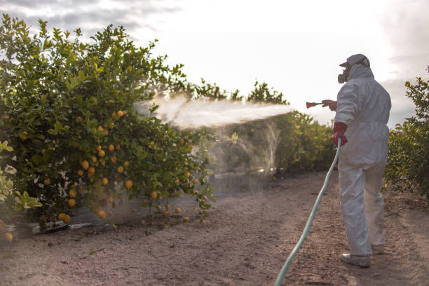 Best Best Pest Control Companies  in Jal, NM