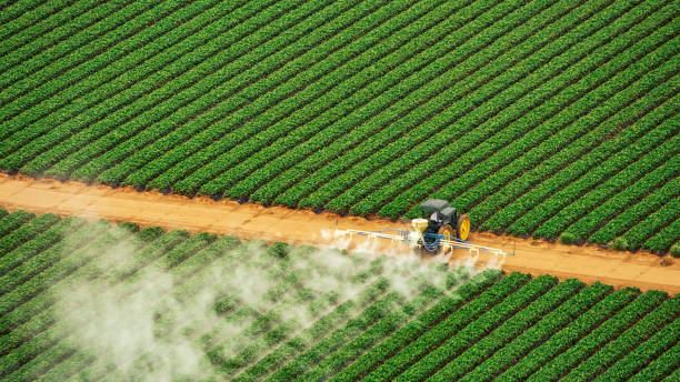 Best Termite Control Services  in Jal, NM