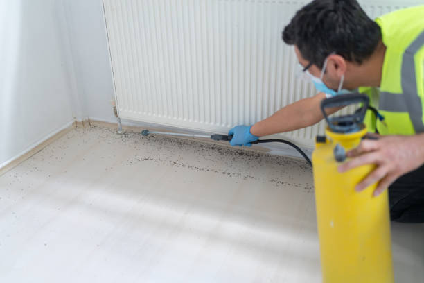 Best Best Pest Control Companies  in Jal, NM