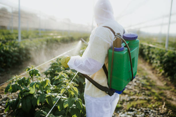 Best Local Pest Control Services  in Jal, NM